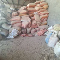 خـوراک دام و طــیور*دیــگه گرون نخـر *