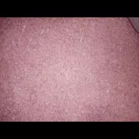 گندم دیم بذر باران|خدمات باغبانی و درختکاری|قوچان, |دیوار