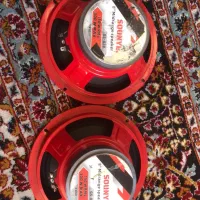 ضبط و باند پایونر|قطعات یدکی و لوازم جانبی|شیراز, پودنک|دیوار