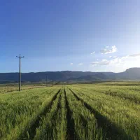 فروش زمین کشاورزی 10هکتار