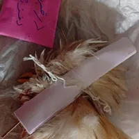 کتب الدعا و ادعیه