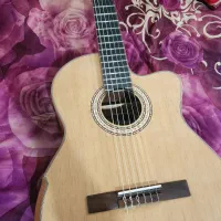 گیتار پیکاپ دار Cordoba کوردوبا