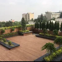 خدمات باغبانی نهال تولیدانواع درخت ودرختچه کف قیمت
