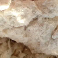 پنبه