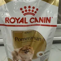 رویال کنین پامرانین ادالت