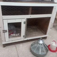 قفس پرنده و مرغ|لوازم جانبی حیوانات|مشکیندشت, |دیوار