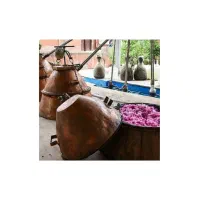 آخرین تور یکروزه کاشان