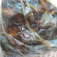 خرما بریمی