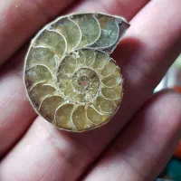 سنگهای قیمتی|جواهرات|ارومیه, |دیوار