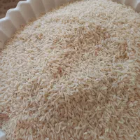 برنج هاشمی امساله