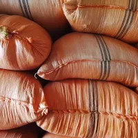 کاه|خدمات باغبانی و درختکاری|پلدشت, |دیوار