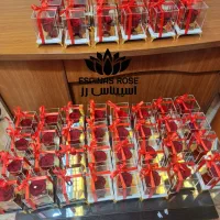 ارائه انواع گل رز جاودان عمده و جزئی تبلیغاتی|گل و گیاه طبیعی|تهران, میدان ولیعصر|دیوار