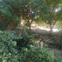 فروش ۲۸۰۰متر باغ و دامداری در تربت جام|فروش دفتر صنعتی، کشاورزی، تجاری|تربت جام, میان جام|دیوار