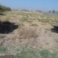 سه هزارمترزمین مشاهیر|فروش زمین و ملک کلنگی|نیشابور, شهرکهنه|دیوار