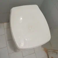 توالت فرنگی سیار