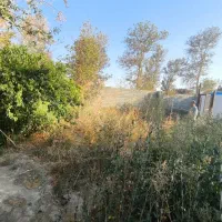 *فروش فوری زمین به متراژ ۴۰۰ متر  در محمدشهر *|فروش زمین و ملک کلنگی|محمدشهر, عباس آباد|دیوار