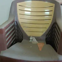 صندلی پلاستیکی