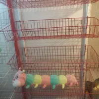 استند سوپر مارکتی