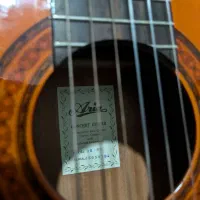 گیتار Aria AK80