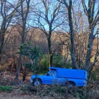 نیسان مدل ۹۰|خودرو سواری و وانت|ری, شهید غیوری (ابن باویه)|دیوار