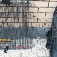 پارک حیوانات