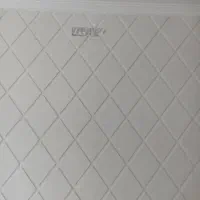 شاگرد گچ ساز