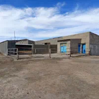 گاوداری شیری با پروانه وباغ