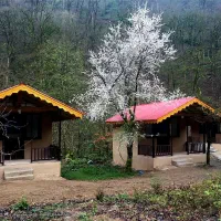 تور شمال کشور  قیمت مناسب|تور و چارتر|بوکان, |دیوار