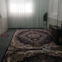یک جفت فرش ۹ متری سالم فقط ۱۶ تومن