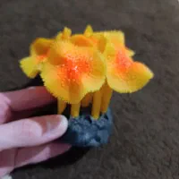 لوازم آکواریوم|ماهی|گرگان, |دیوار