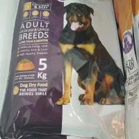 نمایندگی فروش غذای سگ و گربه سزارکندی|لوازم جانبی حیوانات|رباطکریم, یقه|دیوار