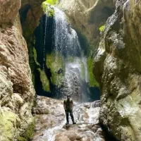 گلستانگردی