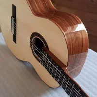 آموزش حرفه ای گیتار