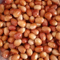 سنجد