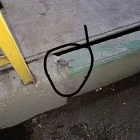 سم سوسک تضمینی