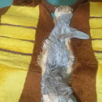 وسایل ماشین|قطعات یدکی و لوازم جانبی|زابل, |دیوار