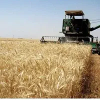 اجاره زمین کشاورزی کاناکشی دولتی حاصلخیز