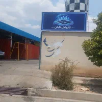 کارواش تخصصی