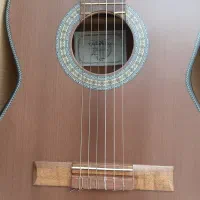 گیتار دالاهو