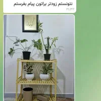 استندکافه بار ولوازم خانگی|کتابخانه، شلف، قفسه‌های دیواری|قم, نوقطار|دیوار
