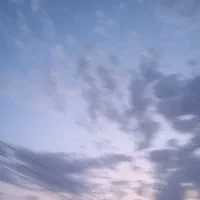 نقد کردن چک