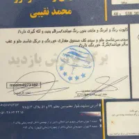206 tu5|خودرو سواری و وانت|مشهد, هفت تیر (نه دره)|دیوار
