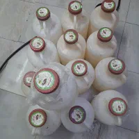 تعدادی از دبه خیارشور