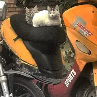 موتور سیکلت پرواز ۱۰۰