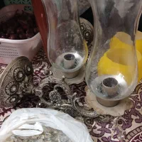 لوسترتک شاخه 2عدد