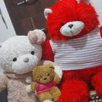 عروسک های شاسخین و تدی