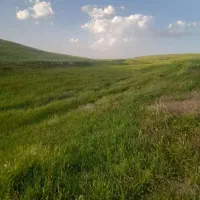 زمین اجاره ای