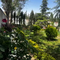 کردان کوهسار پشت رستوران گلمحمدی1700 سنددار