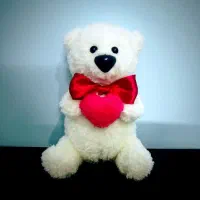 خرس قلب به دست