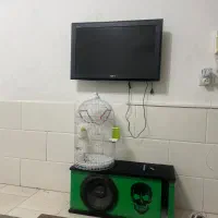 همخونه